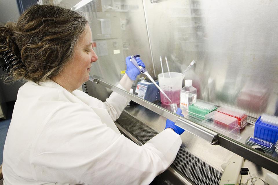 一名穿着实验室工作服、戴着手套的研究人员正在使用试管和小瓶.